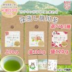 ショッピング茶 茶和家 2023年産地賞受賞 カテキンまるごと飲める 深蒸し掛川茶 300g 1,000円 送料無料 お茶 緑茶 プチギフト