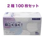 【まとめ買い１００枚】耳ごくらくマスク　四つ折りプリーツ フィット感 快適 個別
