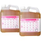 ショッピングワケアリ フラッシングオイル 5L×2缶 10L プラスチック缶 ノズル付 エンジン内部洗浄オイル 四輪車 二輪車 ガソリン車 ディーゼル車 兼用 日本製 ワケアリ オイル 格安