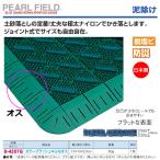 ダンノ カラーブラッシュ中ふちオス グリーン (B-20) D-4207G ＜2025NP＞