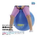  Dan no ho p мяч 66 D-5452 <2023CON>