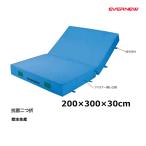 eba новый закрытый цвет ever коврик 2 .200×300×30 производство на заказ товар EGD213 <2025NP>