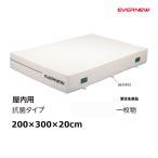 eba новый антибактериальный закрытый ever коврик 200×300×20 производство на заказ товар EGD222 <2025NP>