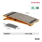 eba новый roita- доска ER-100DX производство на заказ товар ( производитель прямая поставка ) EKF408 <2025NP>