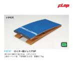  заслонка roita- доска Junior SP начальная школа для большой товар F2137 <2024NP>