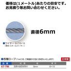 寺西喜 要見積 防球ネット補助品 ワイヤーロープ (1mに付) スチールワイヤー 6mm径 KT-796 ＜2024＞