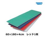  Sanwa физическая подготовка personal стрейч коврик ES( красный ) S-9223 <2025NP>