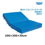  Sanwa физическая подготовка салон вне двоякое применение soft коврик ( 2 tsu.) 200×300×30 S-9793 <2025NP>