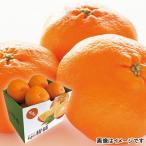 甘平みかん （カンペイ）　１．５ｋｇ