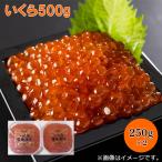 爆買 いくら５００ｇ