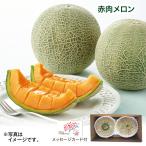 母の日 2026 赤肉メロン