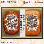 お歳暮 2024 ハム 早割  鎌倉ハム富岡商会　ＫＤＳ−３４１