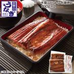 木曽三川うなぎ蒲焼Ｂ　１００ｇ×２