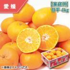 ショッピング甘平 【家庭用】甘平４ｋｇ