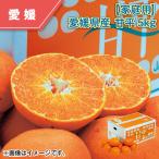 ショッピング甘平 【家庭用】愛媛県産　甘平　５ｋｇ