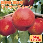 mo. peach wasa-k.-nwasa- Queen Nagano prefecture . slope city 5kg