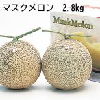 爆買 マスクメロン　２．８ｋｇ