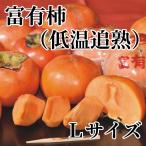 �x�L�`�i�ቷ�Ǐn�j�k�T�C�Y