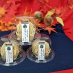  каштан место Kasama. Montblanc 4 шт бесплатная доставка 