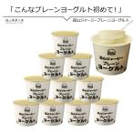  йогурт подарок нет сахар . гора джерси - йогурт простой 10 шт. комплект бесплатная доставка упаковка соответствует простой йогурт подарок 