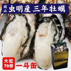 岡山産 3年もの 殻付き牡蠣一斗缶 大粒 約70個 人気 ありがとうギフト