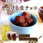 とろける生チョコ×2個 キャラメルチョコレート 蒜山ミルキー 12粒 とろける 蒜山高原 ギフト 送料無料 冷蔵 贈り物 バレンタイン