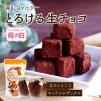 とろける生チョコ 12粒×2個 蒜山高原 ひるぜん チョコレート キャラメルザックル ギフト プチギフト 冷蔵