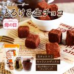 とろける生チョコ 蒜山手焼きチョコチップクッキー キャラメルザックル チョコレート ギフト 送料無料 冷蔵