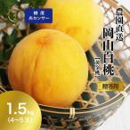  Okayama префектура производство желтый золотой персик Special превосходящий товар персик сахар раз сенсор 1.5kg передний и задний (до и после) желтый золотой персик сельское хозяйство дом прямая поставка Hokkaido Okinawa часть регион рассылка не возможно 