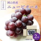  новый pio-ne есть перевод . дом для 2. бесплатная доставка Okayama виноград кожа имеется Hokkaido Okinawa часть регион рассылка не возможно 