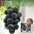  новый pio-ne специальный отбор 2. Okayama виноград бесплатная доставка Okayama виноград 