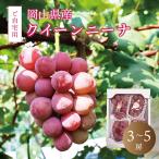 [9 месяц средний . после отправка предположительно ] красный виноград Queen колено na2kg передний и задний (до и после) 3~5. кожа имеется бесплатная доставка Okayama виноград виноград ограниченное количество Hokkaido Okinawa часть регион рассылка не возможно 