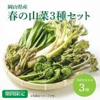  дикоросы 3 вида комплект гора. .. Okayama префектура производство Fuki no Tou ... .......... наш магазин случайный время ограничено 