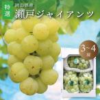  кожа .. еда .... виноград Seto ja Ian tsu специальный отбор 3~4. бесплатная доставка Okayama виноград Okayama префектура производство виноград 