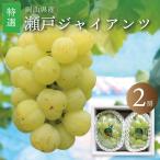  Seto ja Ian tsu специальный отбор 2.1.2kg передний и задний (до и после) бесплатная доставка Okayama виноград 9 месяц последняя декада после отправка предположительно 