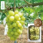  автомобиль in мускат 2kg 3~5. передний и задний (до и после) вид нет виноград Okayama производство . дом для есть перевод маленький ..