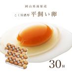  flat .. яйцо 30 штук Okayama префектура горячая вода . горячие источники . тест .. Tama .
