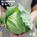 岡山県真庭産キャベツ 4玉 4kg前後 単品野菜 西日本