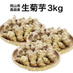 . клубень сырой . клубень ....3kg собака Lynn овощи здоровое питание бесплатная доставка Okayama подлинный двор производство 