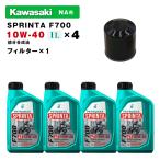 pe Toro nasF700 масло / фильтр комплект KAWASAKI NA для ( supercharger не установлен модель ) PETRONAS