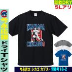 今永昇太 グッズ Tシャツ MLB カブ