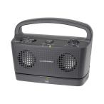 [ коробка повреждение кроме того, коробка загрязнения товар ]audio-technica TV для под рукой динамик AT-SP767XTV BK ( черный )