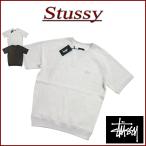 STUSSY ステューシー STOCK RAGLAN S/SL CREW