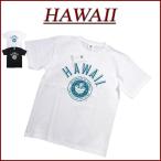 HAWAII ハワイ大学 カレッジプリント 半袖 Tシャツ HWUS-011