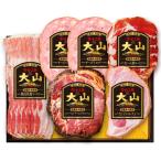 お歳暮 御歳暮 ハム ギフト ご当地 大山ハム 食の匠工房 5種6品詰合せ CN-19 山陰名産品 山陰特産品 Pay-CN-19