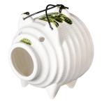 アンドエヌイー萬古焼蚊やりぶた白幅...