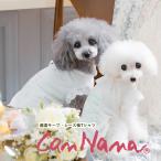 ショッピングアウトラスト 春夏【きゃんナナ】適温キープ・レース袖Tシャツ SS-Lサイズ 小型犬