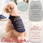 【きゃんナナ】適温キープ・メッセージTシャツ 5L,6Lサイズ