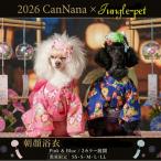 �a�� ���� ���� �䂩�� �� ���J�^ �т��������Ȓ��畿�䂩�� SS-LL�T�C�Y ���̂䂩�� �L�̗��� �L�̂䂩�� �Ղ�s���N �u���[
