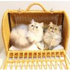  кошка сопутствующие товары [N4 стиль ] ротанг Carry мой nM размер рекомендация масса :8kg